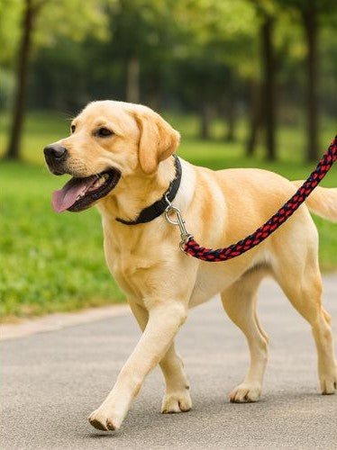 Laisse pour chien | ComfortGuide™ - MyDoggy - Shop