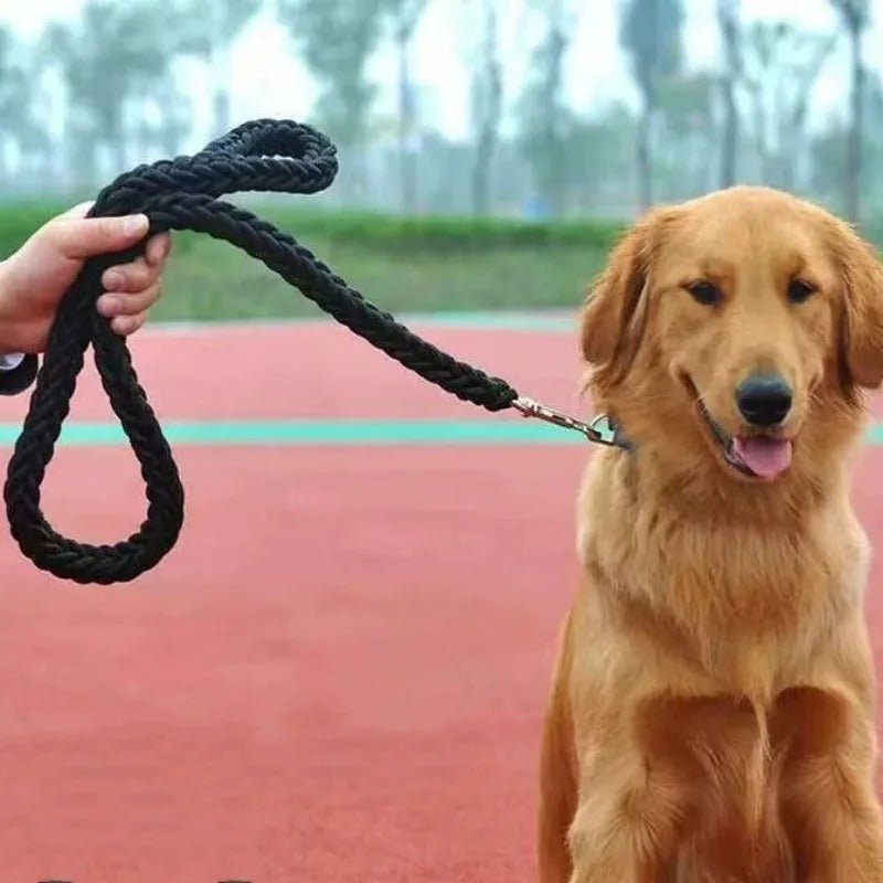 Laisse pour chien | ComfortGuide™ - MyDoggy - Shop