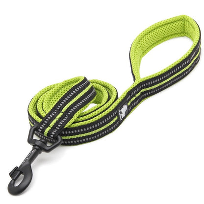 laisse pour chien verte