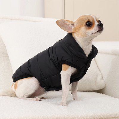 Manteau pour Chien chaud