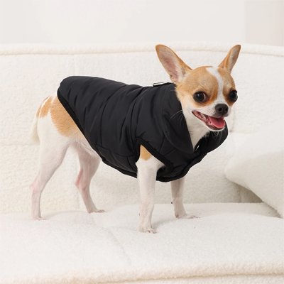 Manteau pour Chien imperméable