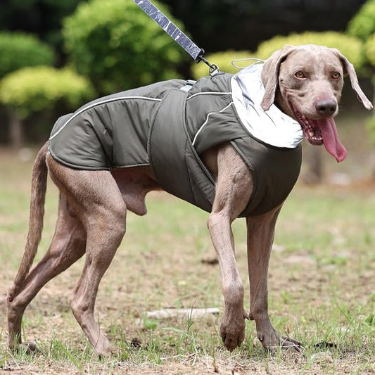 Manteau pour chien | BigPawGuard™ - MyDoggy - Shop