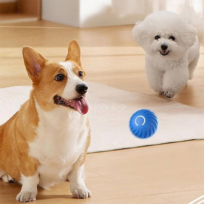 Balle pour chien | SmartChase™