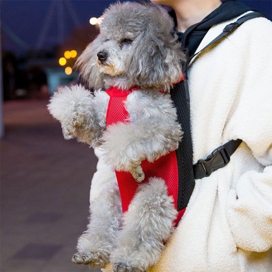 Sac de transport chien ventral | ConfortCanin - MyDoggy - Shop