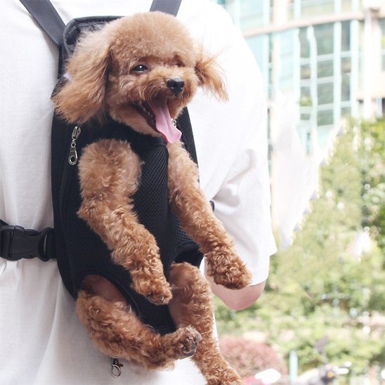 Sac de transport chien ventral | ConfortCanin - MyDoggy - Shop