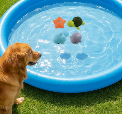 Jouet d'eau pour chien qui s'allume dans la piscine